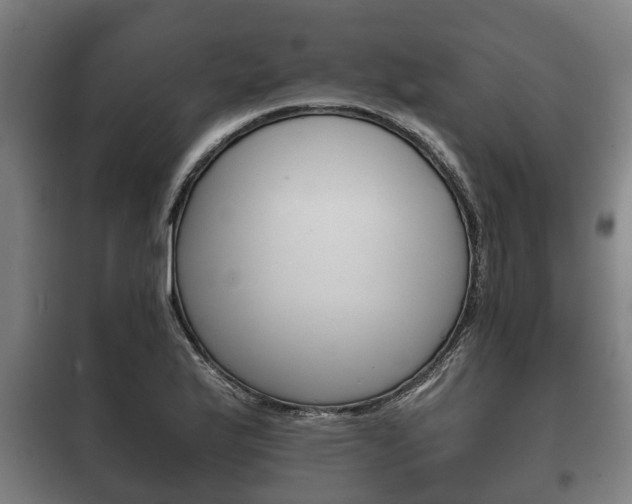 X0000100411175200806060918