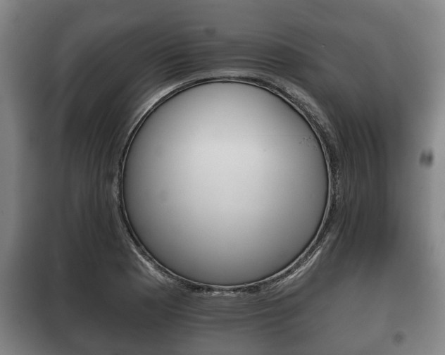 X0000100411177200806060918