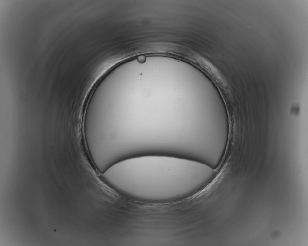 X0000100411178200806060918
