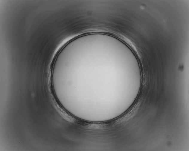 X0000100411179200806060918