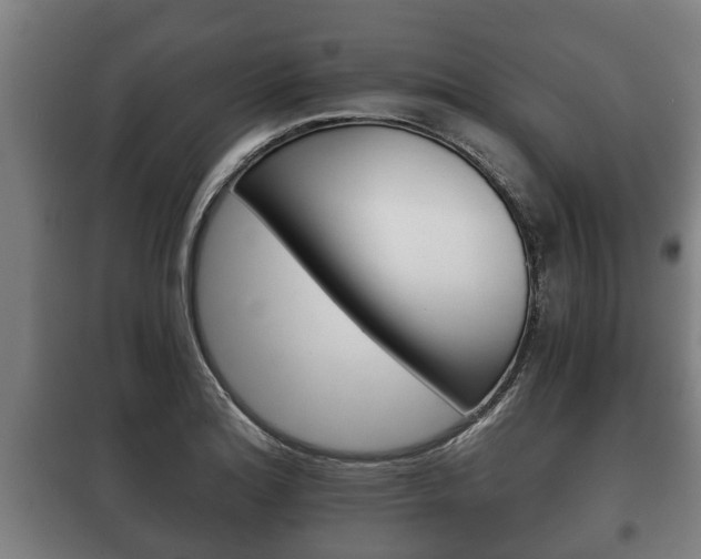 X0000100411180200806060918