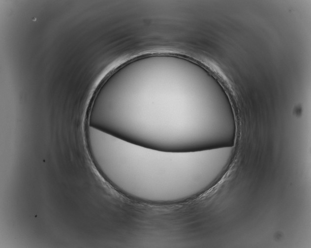 X0000100411181200806060918