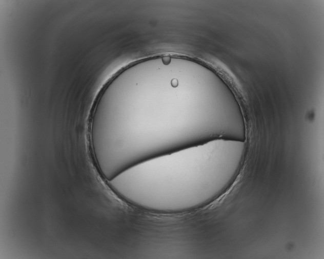 X0000100411182200806060918