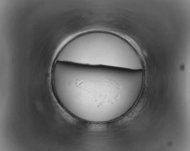 X0000100411183200806060918