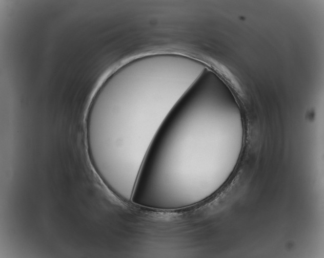 X0000100411184200806060918
