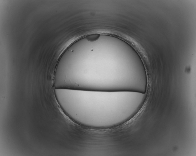 X0000100411185200806060918