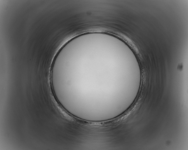 X0000100411186200806060918
