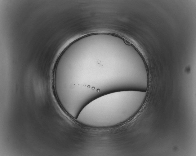 X0000100411187200806060918