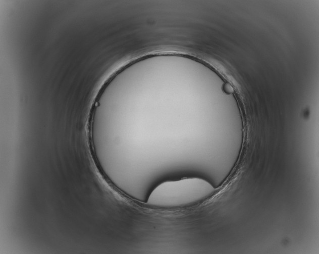 X0000100411189200806060918