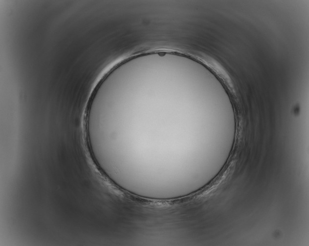 X0000100411190200806060918