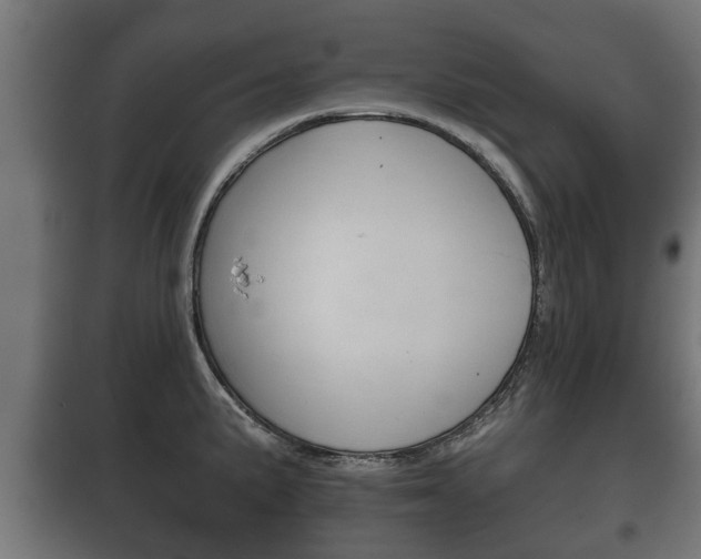 X0000100411191200806060918
