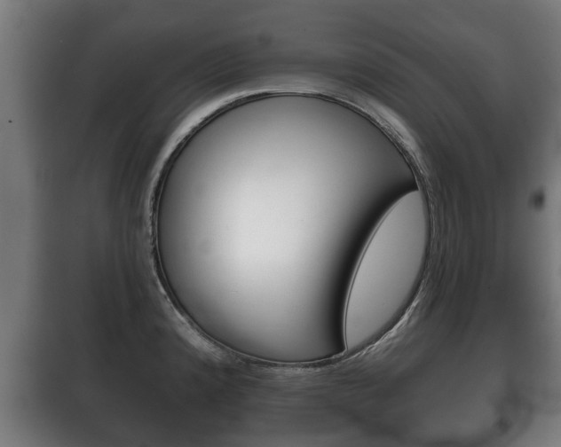 X0000100411192200806060918