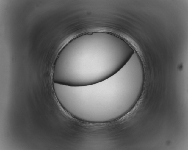 X0000100411193200806060918