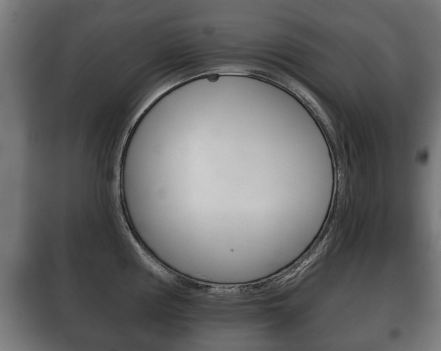 X0000100411194200806060918