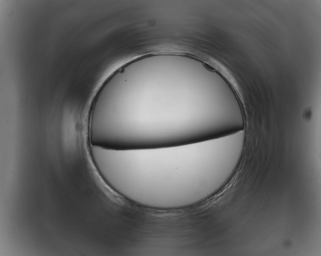 X0000100411195200806060918