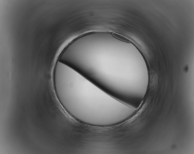 X0000100411196200806060918