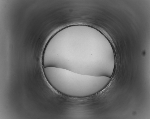 X0000100411197200806060918