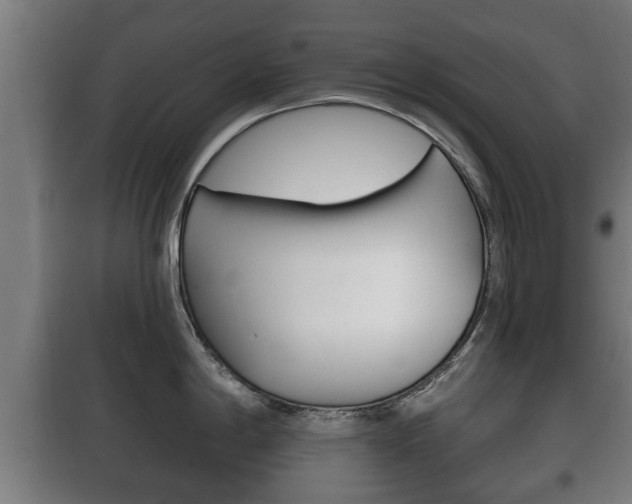 X0000100411198200806060918