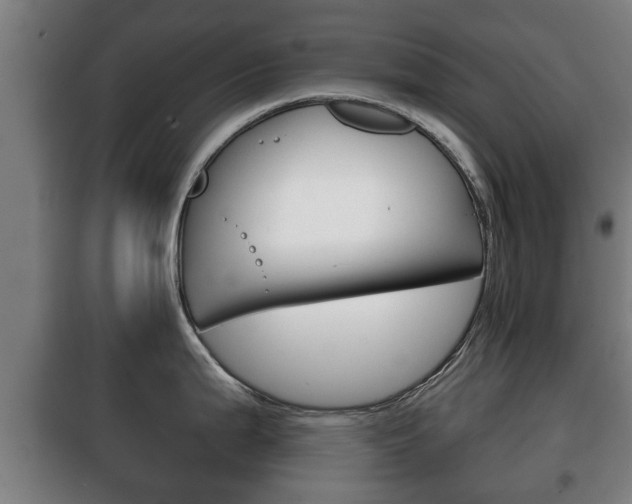 X0000100411199200806060918