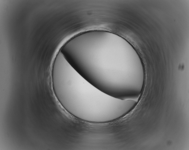 X0000100411200200806060918