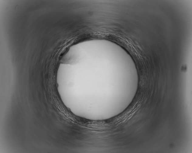 X0000100411201200806060917