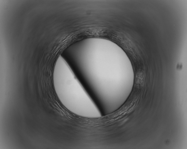 X0000100411202200806060917