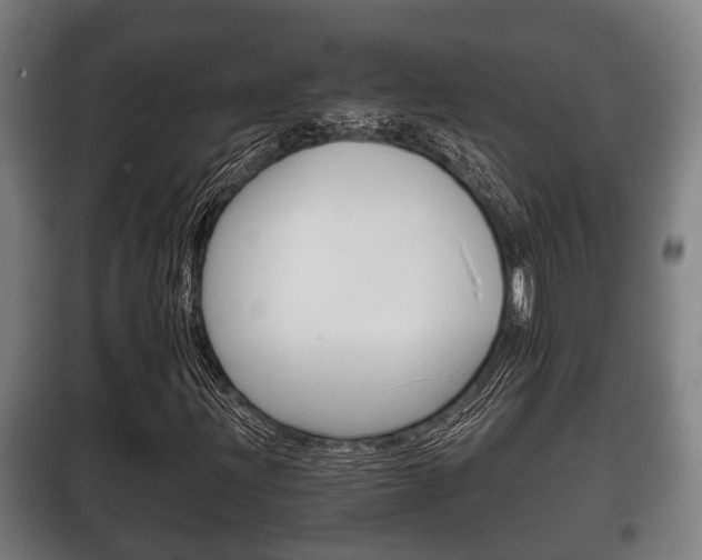 X0000100411203200806060917