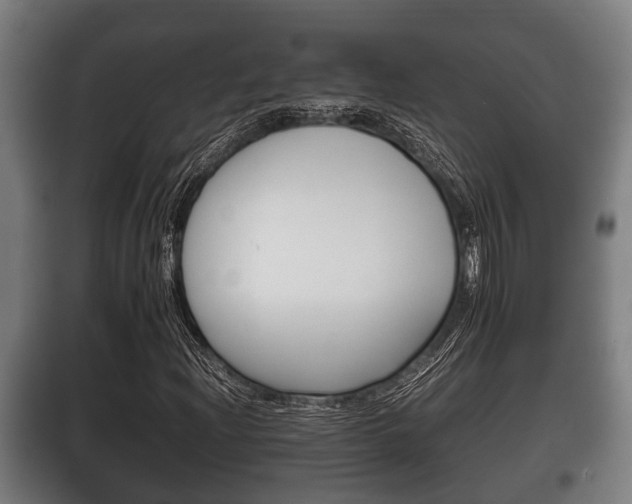 X0000100411204200806060917