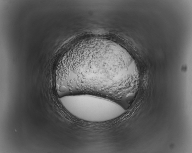 X0000100411205200806060917