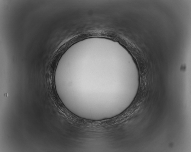 X0000100411206200806060917