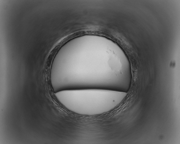 X0000100411208200806060917