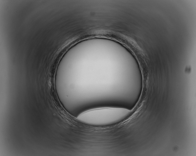 X0000100411209200806060917