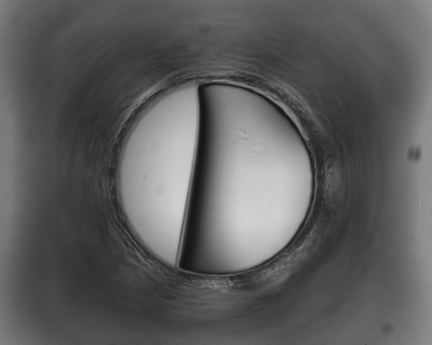 X0000100411210200806060917