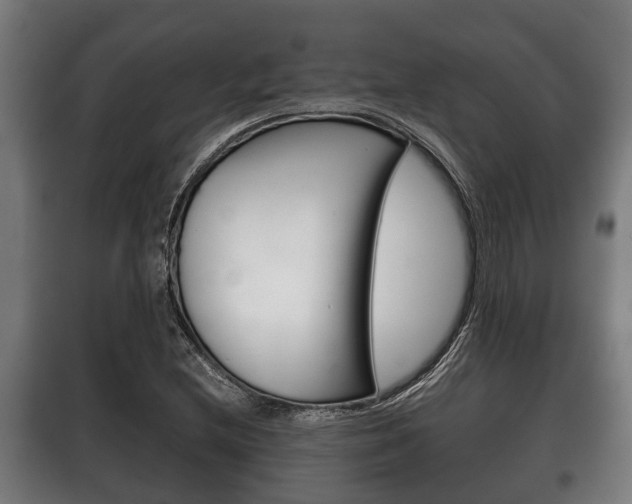 X0000100411212200806060917