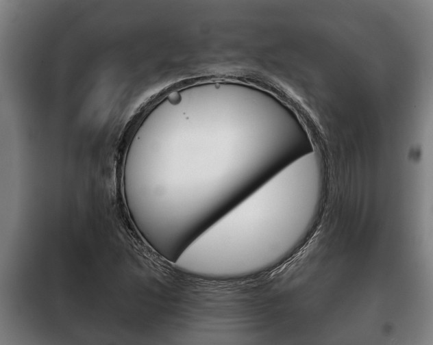 X0000100411214200806060917