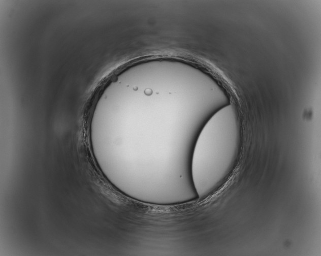 X0000100411215200806060917