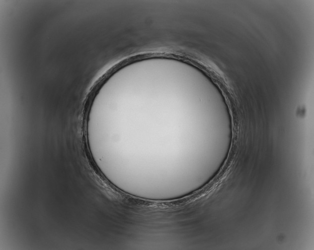 X0000100411216200806060917