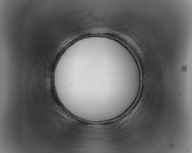 X0000100411217200806060917