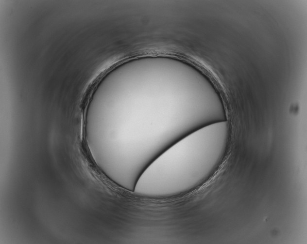 X0000100411219200806060917