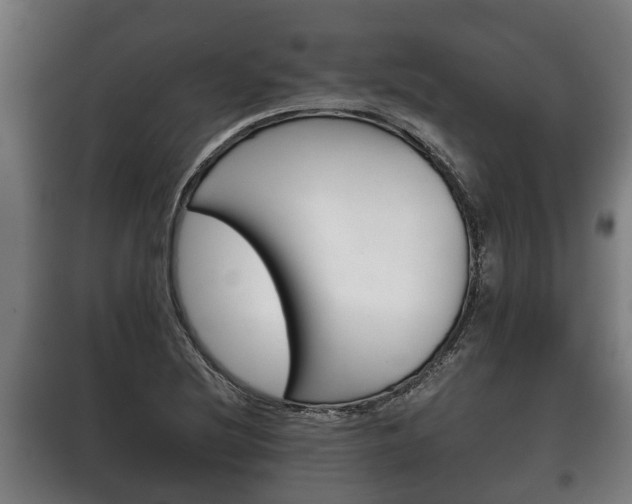 X0000100411220200806060917
