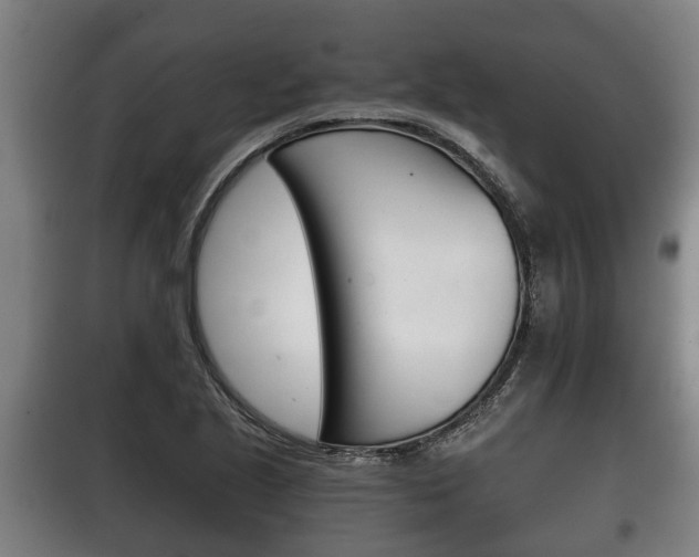 X0000100411221200806060917