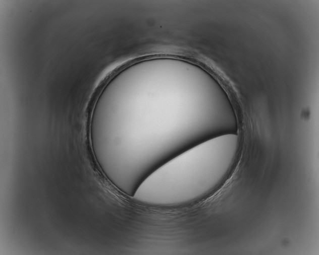 X0000100411222200806060917