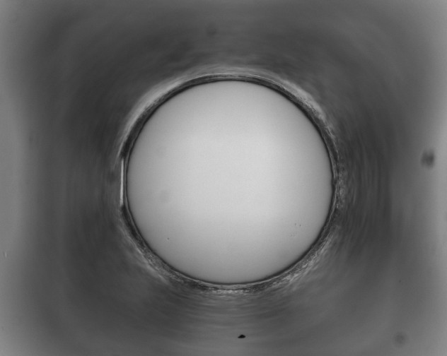 X0000100411223200806060918