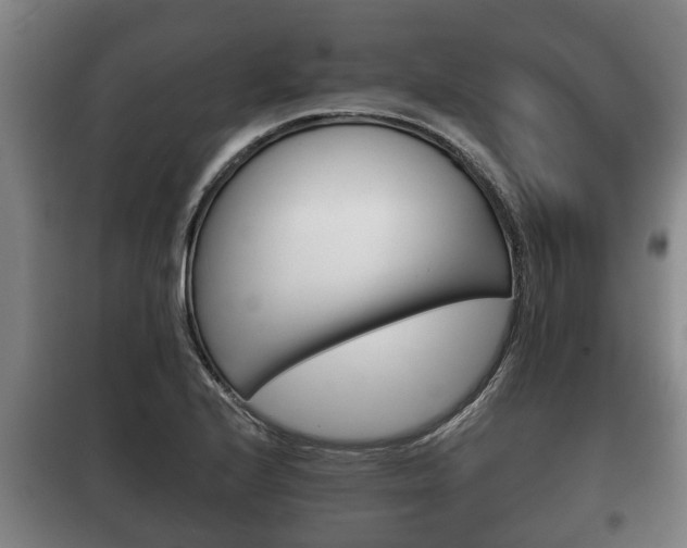 X0000100411224200806060918