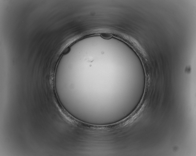 X0000100411225200806060918