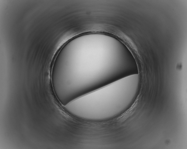 X0000100411226200806060918