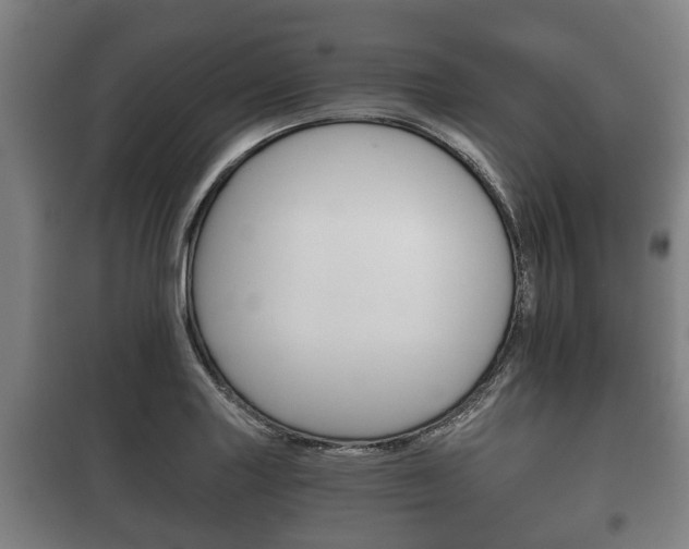 X0000100411227200806060918