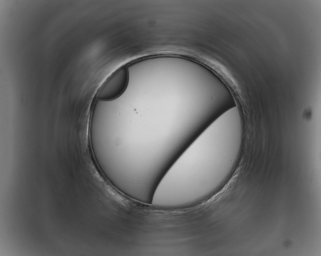 X0000100411228200806060918