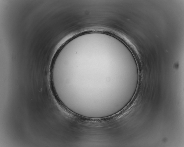 X0000100411229200806060918