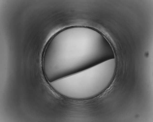 X0000100411230200806060918